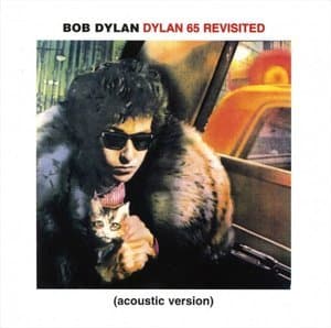 Dylan 65 Revisited (Acoustic Version)