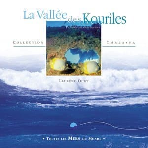 Toutes les mers du monde: la vallee des kouriles