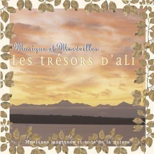 Musique et merveilles: les tresors d'ali