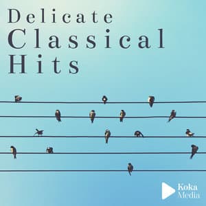 Delicate Classical Hits