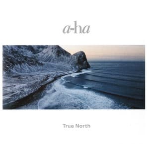 True North