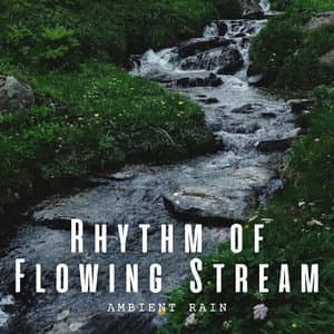 Ambient Rain: Rhythm of Flowing Stream