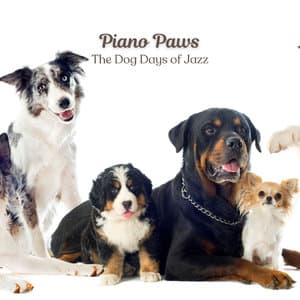 Piano Paws: The Dog Days of Jazz