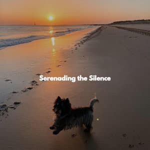 Serenading the Silence