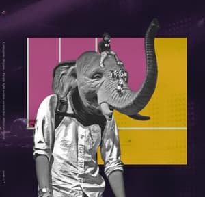 Purple Light Section Corners Feel Different World