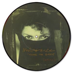 Muslimgauze / Les Joyaux De La Princesse