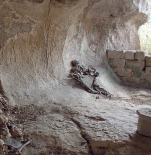 Ritualistic Mutilation in the Bloody Darkness