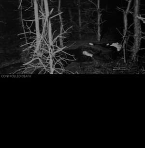 Symphony for the Black Murder