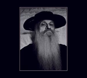 Sous L'Arbre De Science