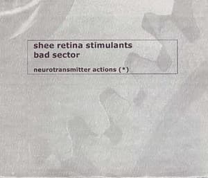 Neurotransmitter Actions
