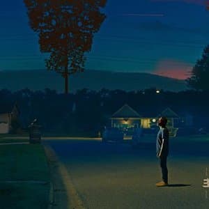 Kinfolk 2: See the Birds