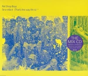 Se A Vida É (That's The Way Life Is)