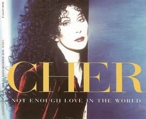 Not Enough Love In The World