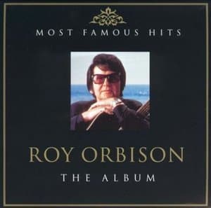 Most Famous Hits - The Album