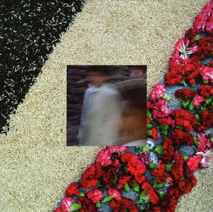 Desde infiernos de flores