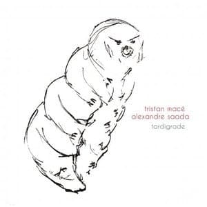 Tardigrade