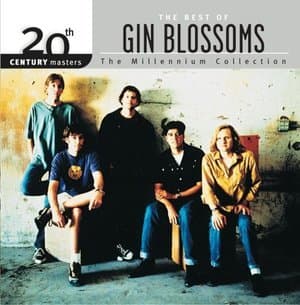 Outside Looking In: The Best Of The Gin Blossoms