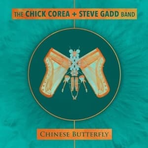 Chinese Butterfly