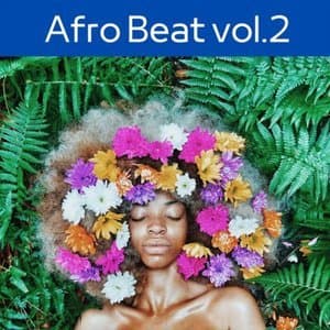 Afro Beat, Vol.2