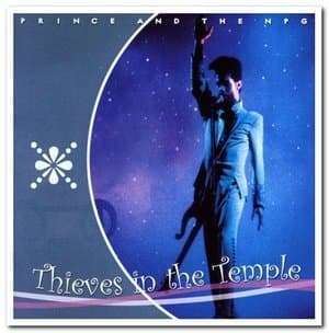 Thieves In The Temple