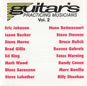 Guitar's Practicing Musicians Vol. 2