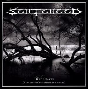 Dead Leaves (A Collection Of Rarities And B-sides)