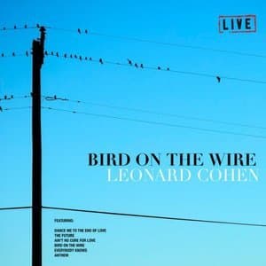 Bird On The Wire