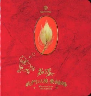 We Are Gonna Get Married