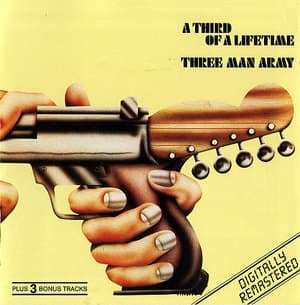 A Third Of A Lifetime