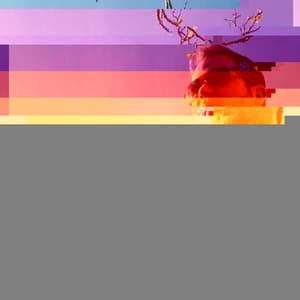 You Can't Hide From Who You Are