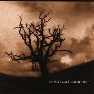 Radioforest