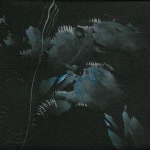 Shadows From The Album Skies II