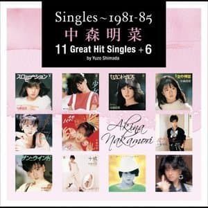 Singles～1981-85 Akina Nakamori 11 Great Hit Singles +6 by Yuzo Shimada