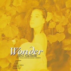 Wonder (with original karaoke)
