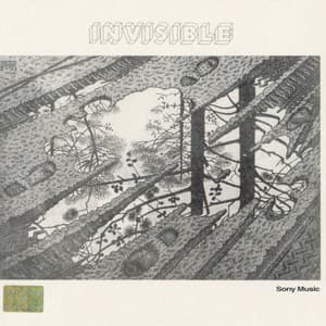 Invisible
