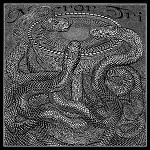 Venenum / Timeless Transcension