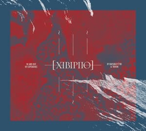 XIBIPIIO. In And Out Of Experience
