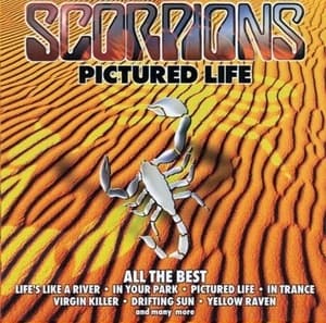 Pictured Life (All The Best)