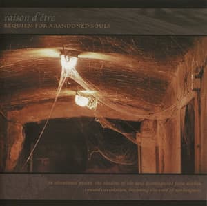Requiem For Abandoned Souls