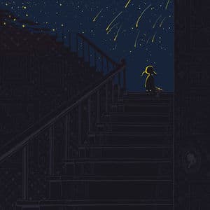 Night Night at the First Landing