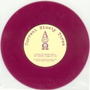 Calling For Vanished Faces I - Virgin Mary