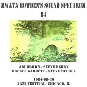 1984-08-30, Jazz Festival, Chicago, IL