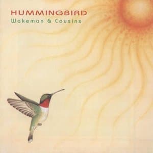 Hummingbird