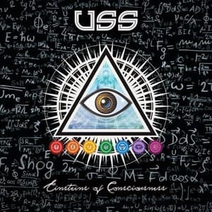 Einsteins Of Consciousness