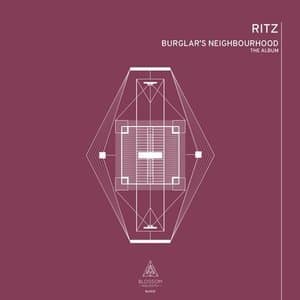 Burglars Neighbourhood