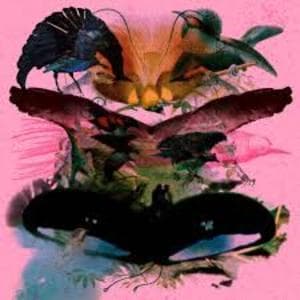 Rojus (Designed To Dance)