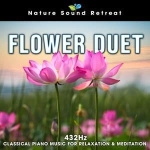 Flower Duet: 432hz Classical Piano Music for Relxation & Meditation