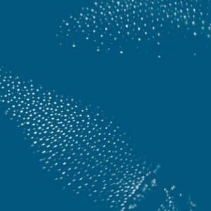 Aphotic III - Bathyal