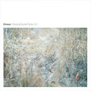 ModularGuitarFields I-VI