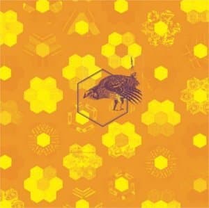 The Country Hospital